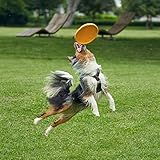 Vivifying Hundefrisbee, 2 Stück 15cm Hunde-Frisbee aus Natürlichem Kautschuk für Land und Wasser (Grün + Orange) - 6