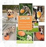 WELLXUNK Hunde Frisbees,Hund Scheibe, 2 Stück hundespielzeug Frisbee,Gummi Frisbee,für Land und Wasser,Hundetraining, Werfen, Fangen & Spielen(Grün + Orange) - 4