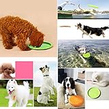 WELLXUNK Hunde Frisbees,Hund Scheibe, 2 Stück hundespielzeug Frisbee,Gummi Frisbee,für Land und Wasser,Hundetraining, Werfen, Fangen & Spielen(Grün + Orange) - 5