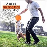 WELLXUNK Hunde Frisbees, Hund Scheibe, 2 Stück hundespielzeug Frisbee, Gummi Frisbee, für Land und Wasser, Hundetraining, Werfen, Fangen & Spielen(Grün + Orange) - 6