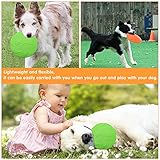 WELLXUNK Hunde Frisbees, Hund Scheibe, 2 Stück hundespielzeug Frisbee, Gummi Frisbee, für Land und Wasser, Hundetraining, Werfen, Fangen & Spielen(Grün + Orange) - 7