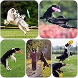 aiMaKE 3 Stück Hundefrisbee ，15cm Hunde-Frisbee aus Natürlichem Kautschuk für Land und Wasser ür Land und Wasser,Hundetraining, Werfen, Fangen & Spielen(Orange +Rosa + Grün) - 5