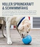 Planet Dog Orbee-Tuff Snoop – Interaktives Spielzeug für Hunde – Snackball – Blau – Groß - 6