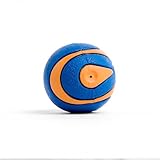 Chuckit! CH52068 Ultra Squeaker Ball Medium 1-er Pack - 2