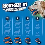 Chuckit! CH52068 Ultra Squeaker Ball Medium 1-er Pack - 7