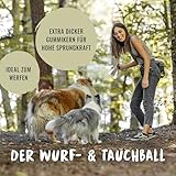 Rudelkönig Hundeball aus Naturkautschuk – Zwei Bälle mit 6,5cm Ø – Nahezu unzerstörbares Hundespielzeug inklusive praktischer Aufbewahrungstasche - 6