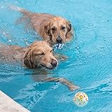 2 Stück Hundeball Hundespielzeug Ball,Unzerstörbar Gummi Hohe Dehnbar Hundebälle,Langlebiger Solider Interaktives Ball,Widerstandsfähige Zähne Training Wasserspielzeug,für kleine mittlere große Hunde - 6