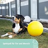 Kerbl 82274 Hundespielball aus Kunststoff, 30 cm, gelb - 3